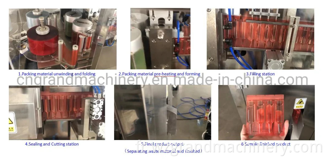 Machine de remplissage et d'emballage de la machine de remplissage de liquide vertical et de machine d'étanchéité en plastique GGS-118 (P5)